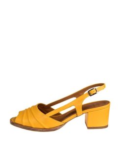 Marianterry.shop2447599184 1